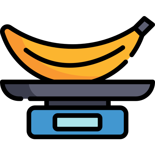 Kitchen Scale