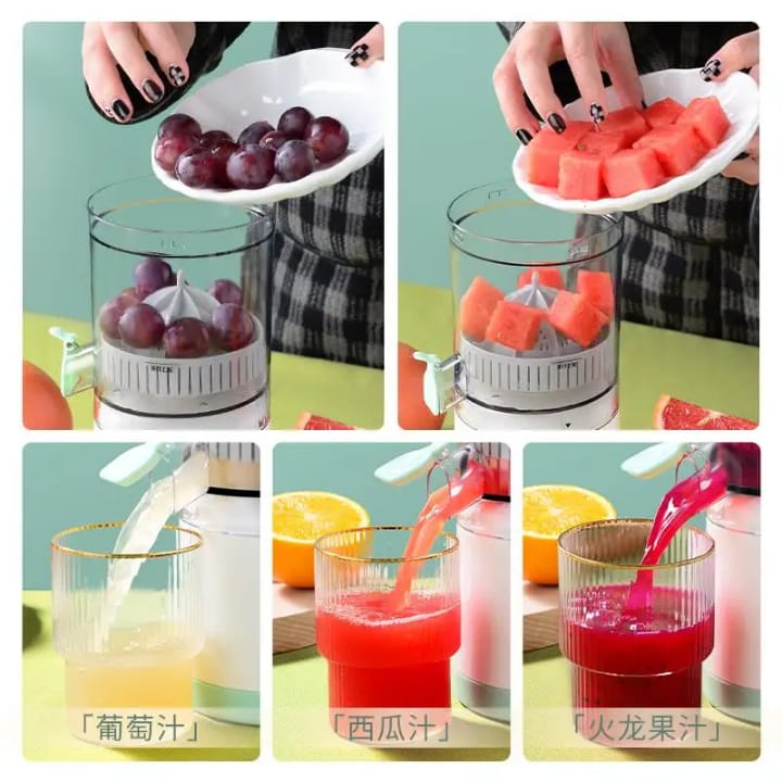 Mini Portable Juicer 