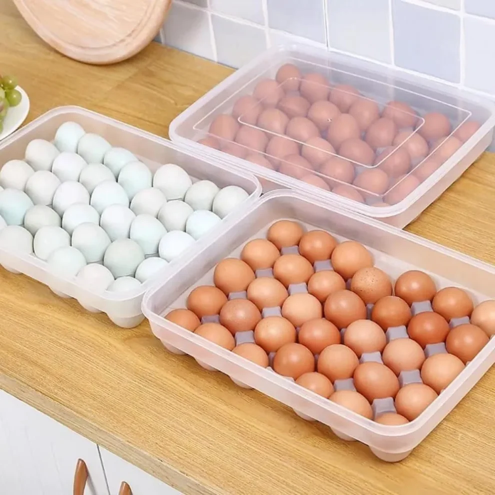 34 Gird Egg Storage Box